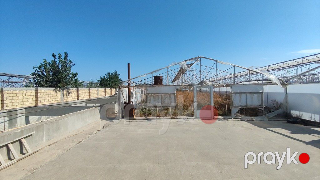 Satılır obyekt 40000 m² — Əmlak, Bakı (12)