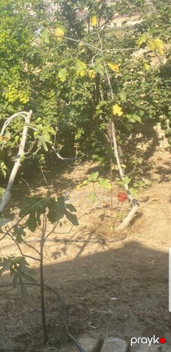Həyət evi, Imişli r — Ev, villa, Bakı (4)