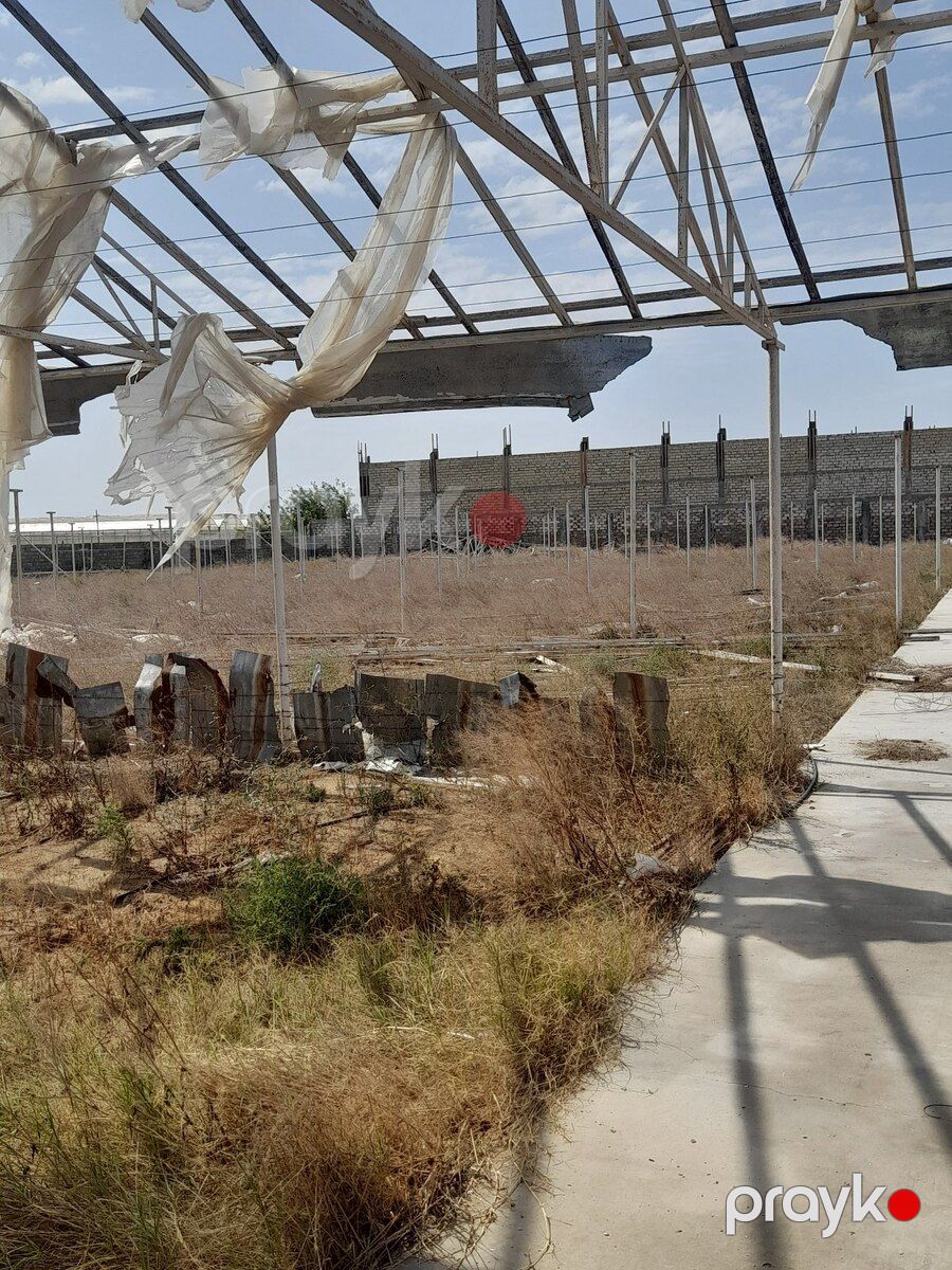 135 sot torpaq sahəsi, Buzovna qəs — Torpaq, Bakı (8)