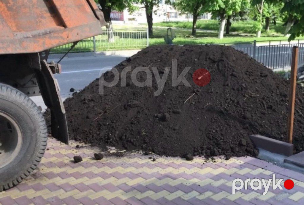 Qara torpaq və peyin — Dacha və bağ, İsmayıllı (10)
