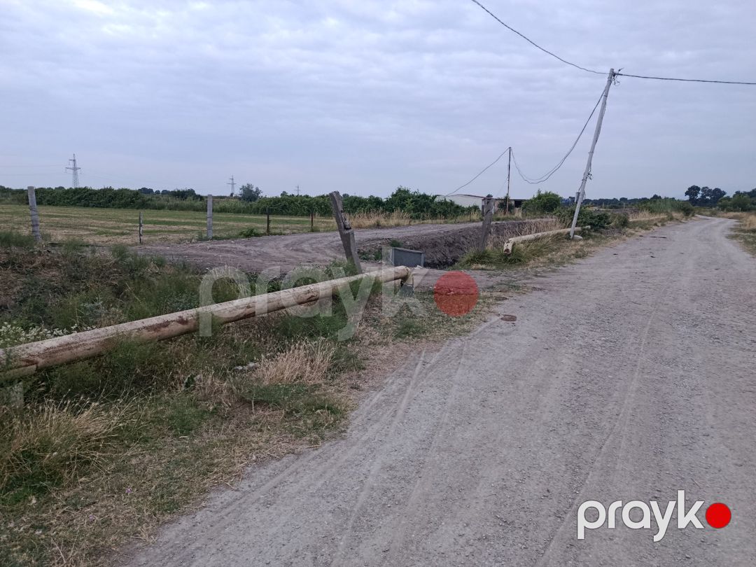 2.57 sot torpaq sahəsi, Şabran r — Torpaq, Şabran (12)