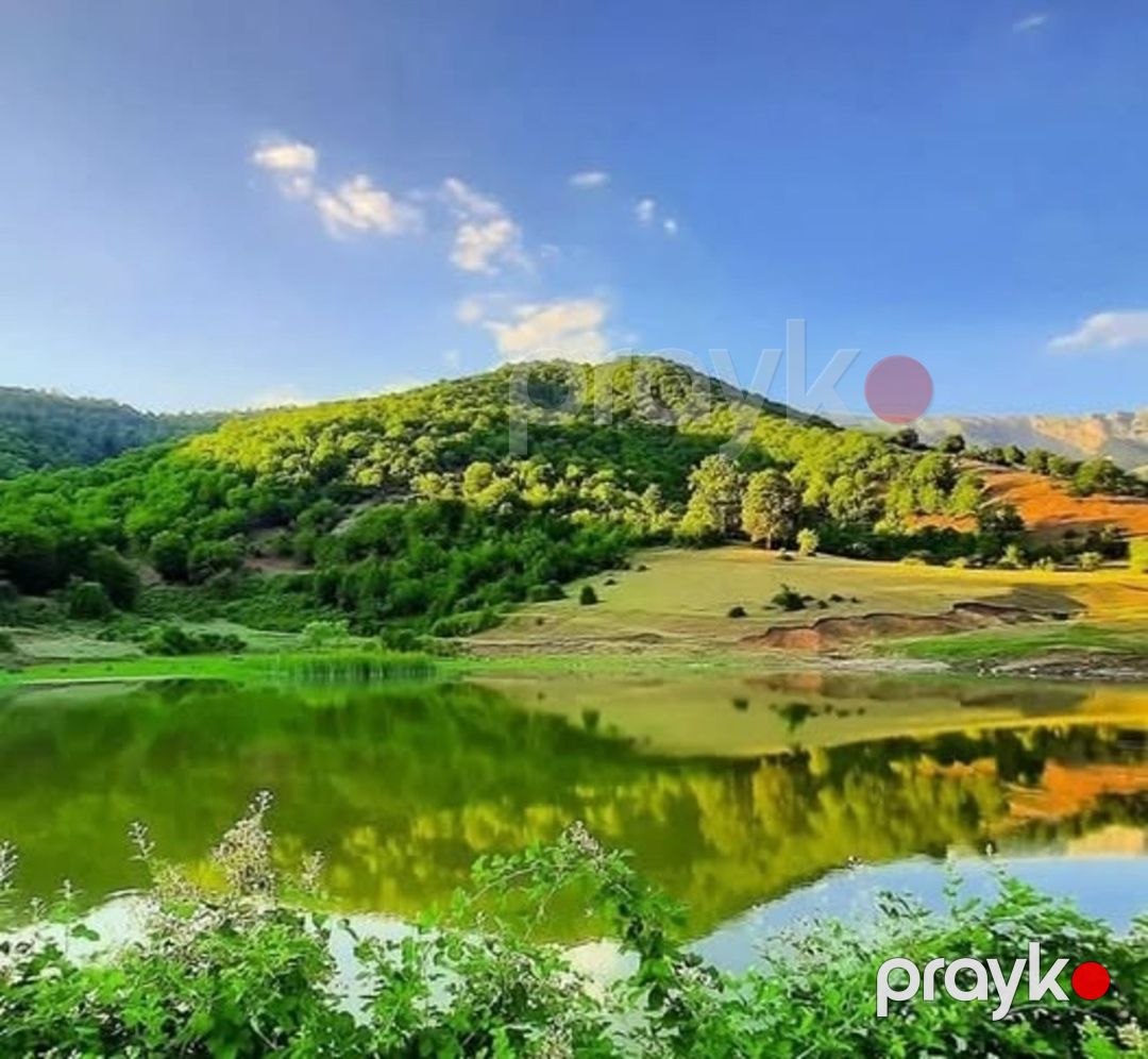 Bağ evi kirayə verilir, İsmayıllı r — Ev, villa, İsmayıllı (10)