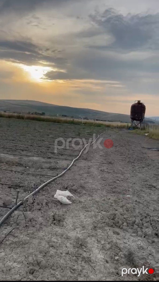 100 sot torpaq sahəsi, Şamaxı r — Torpaq, Şamaxı (8)