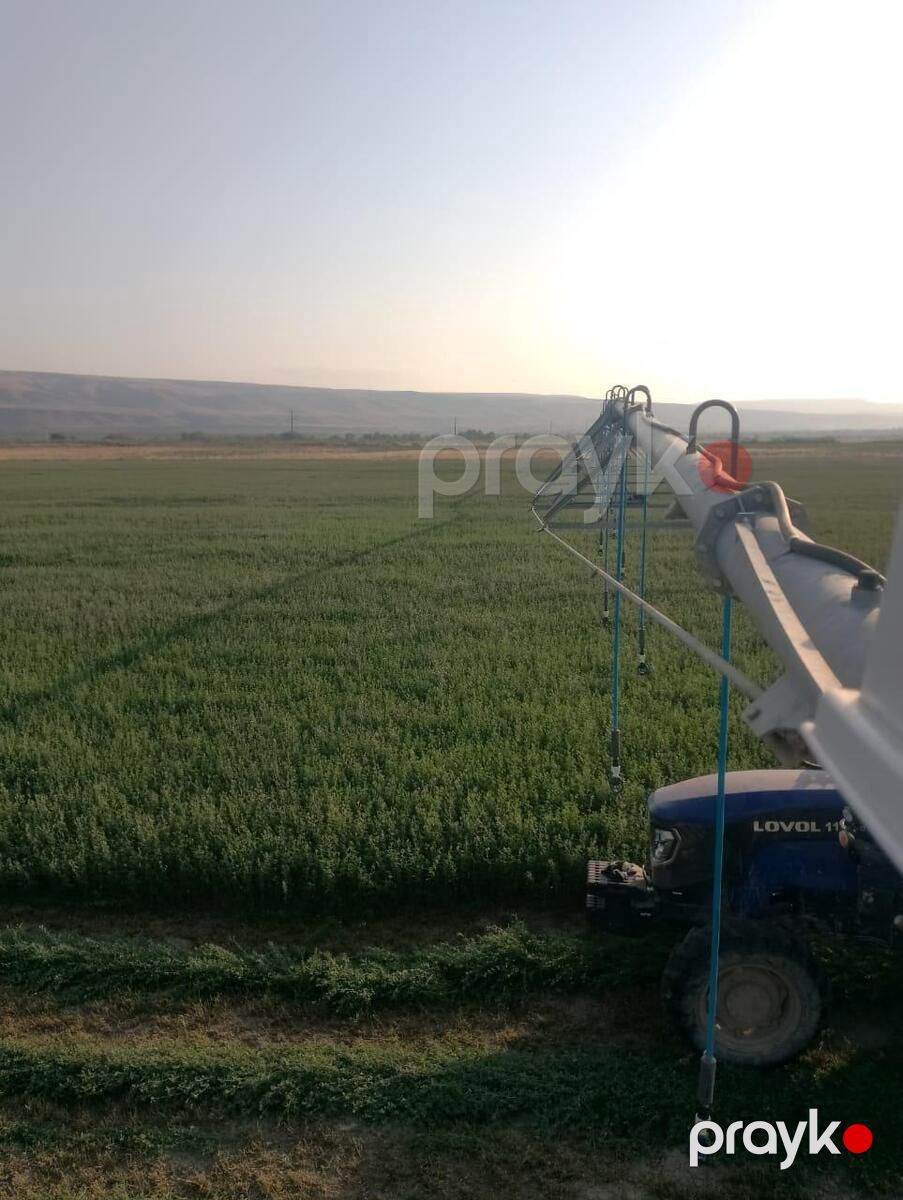 Satılır torpaq 31500 sot — Torpaq, Ağsu (4)