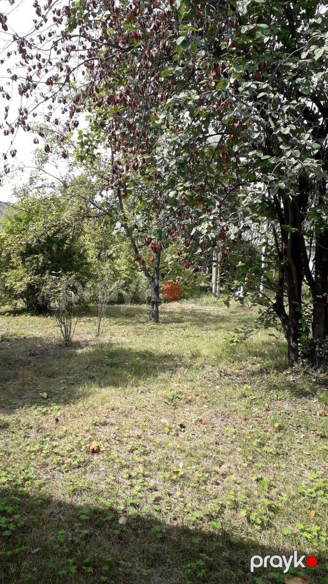 Həyət evi kirayə verilir, İsmayıllı r — Ev, villa, İsmayıllı (10)