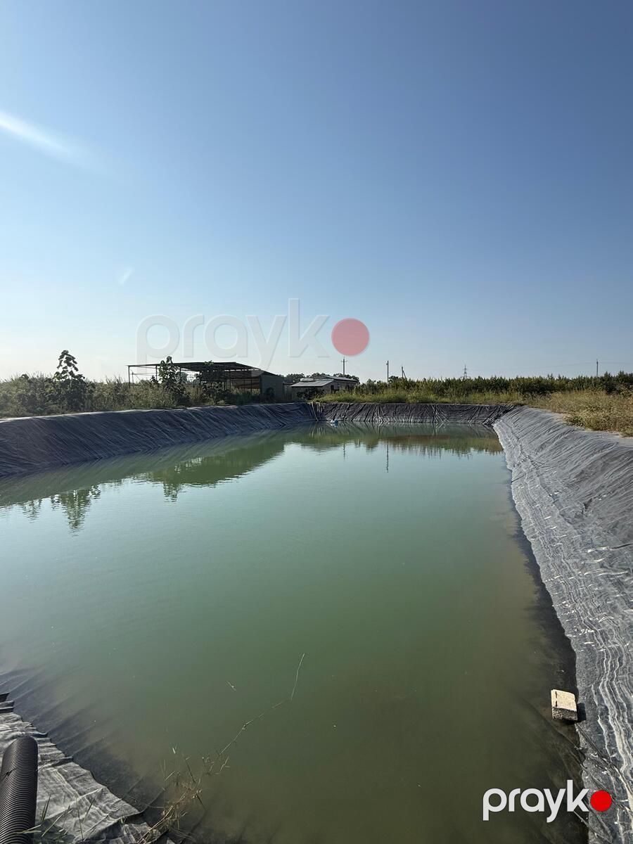 Satılır obyekt 40000 m² — Əmlak, Xaçmaz (11)