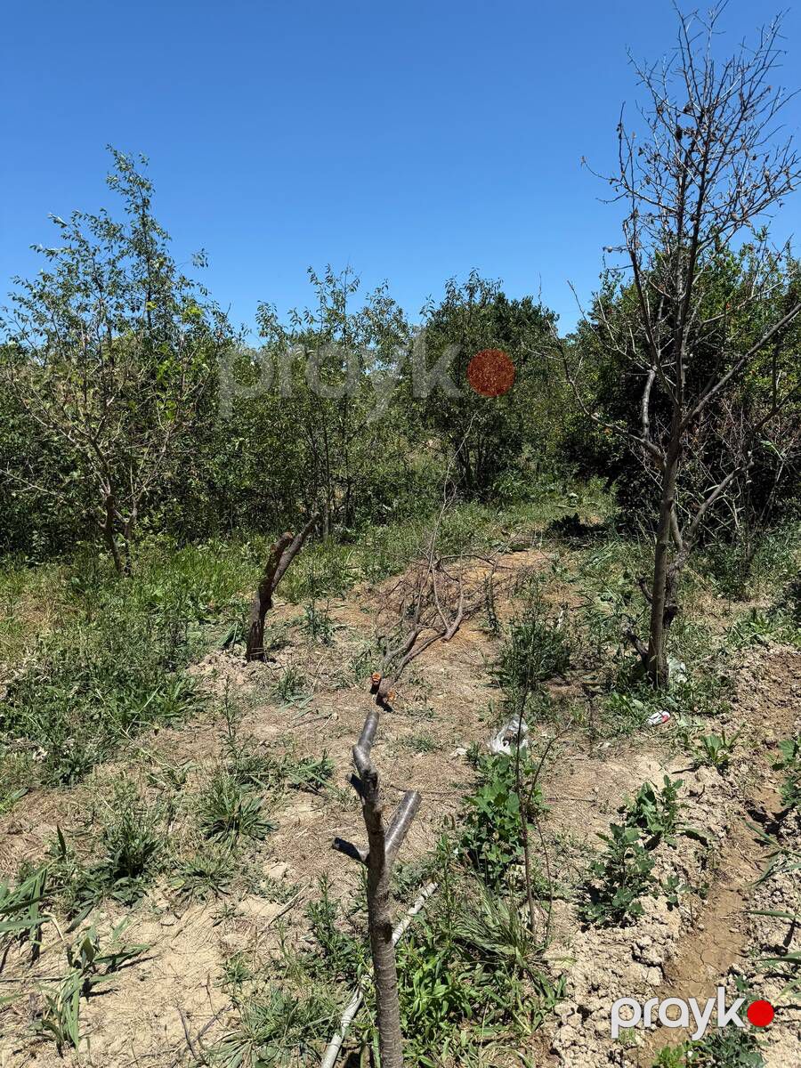Satılır torpaq 7 sot — Torpaq, Sumqayıt (5)