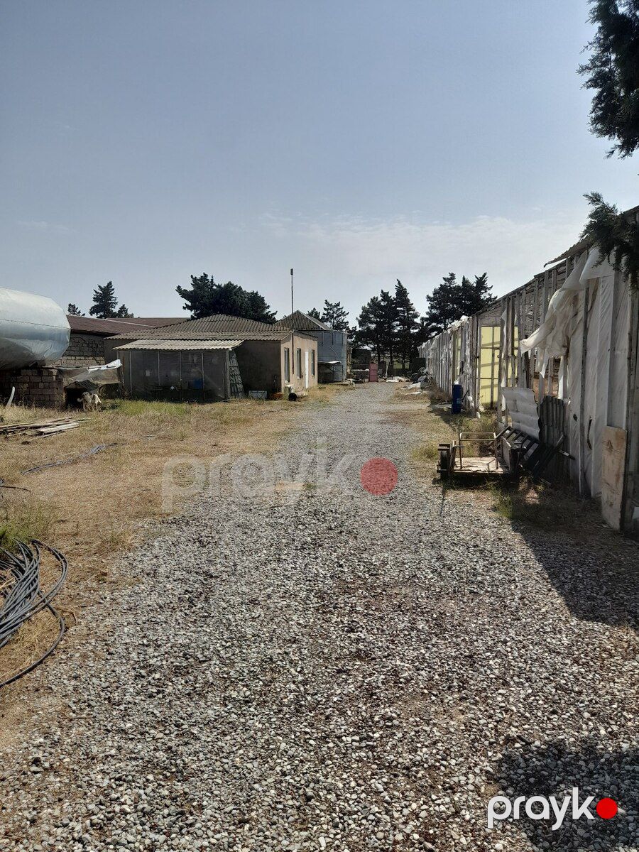 135 sot torpaq sahəsi, Buzovna qəs — Torpaq, Bakı (6)