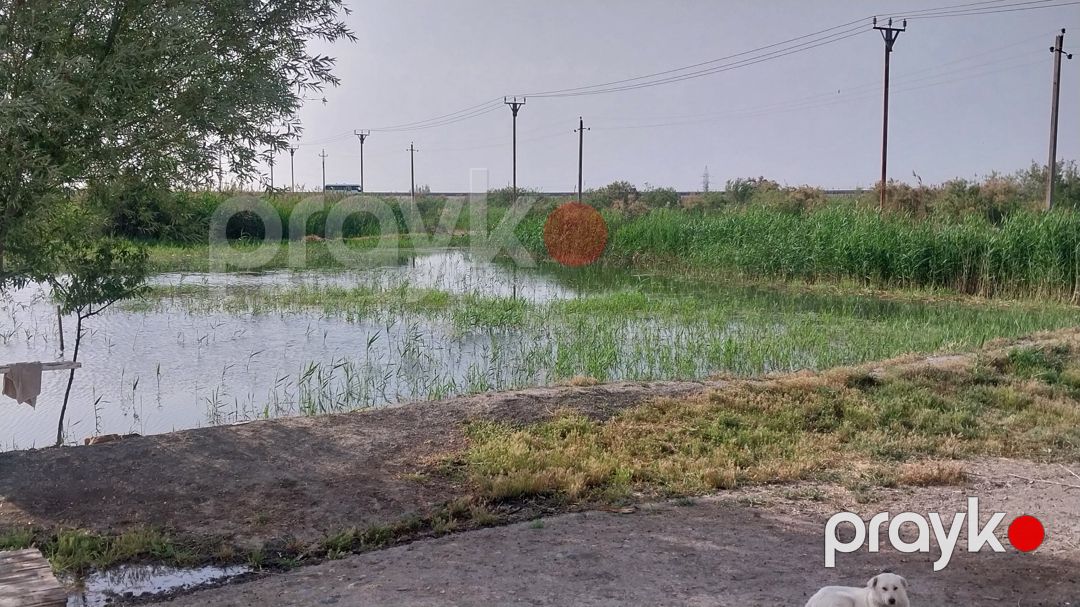 8 sot torpaq sahəsi, Salyan r — Torpaq, Salyan (5)
