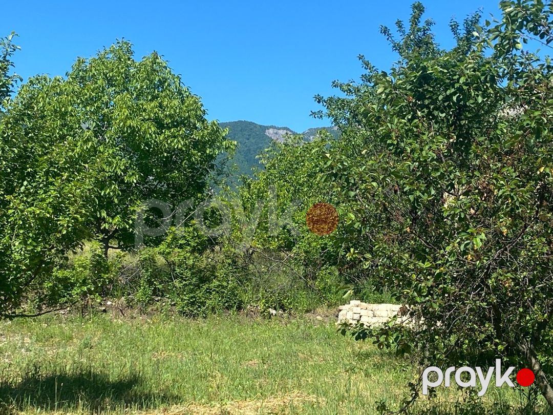 14 sot torpaq sahəsi, Talıstanaltı kəndi — Torpaq, İsmayıllı (7)