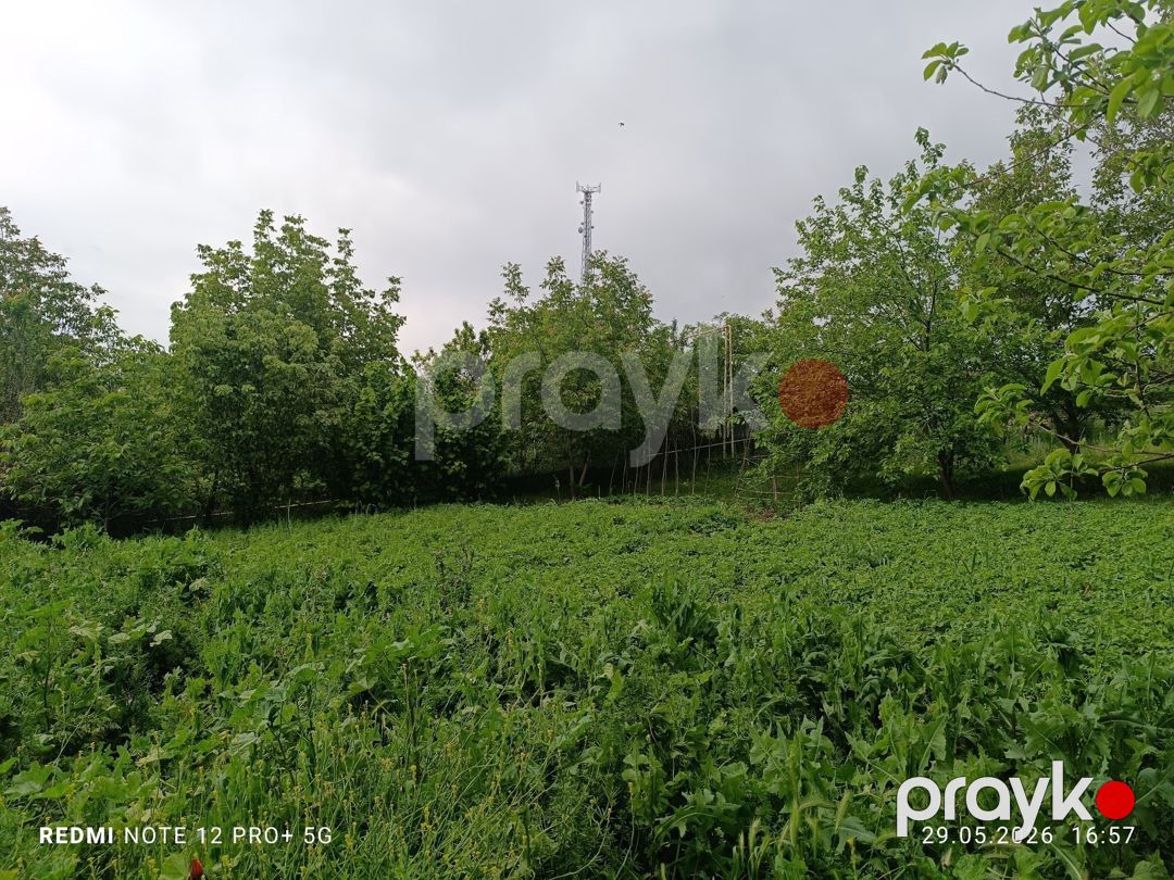 Həyət evi, İsmayıllı r — Ev, villa, İsmayıllı (9)