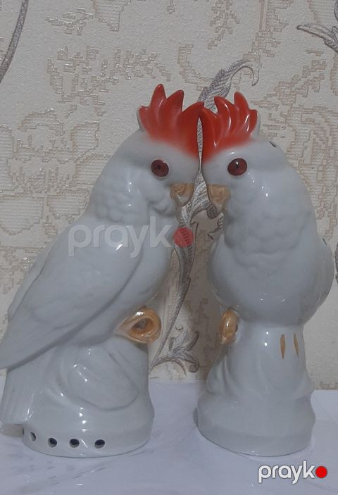 Tutuquşu dəsti — Bakı
