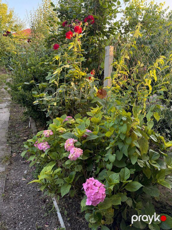 Həyət evi kirayə verilir, Quba r — Ev, villa, Quba (4)