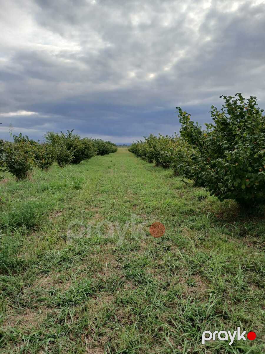 2800 sot torpaq sahəsi, Xaçmaz r — Torpaq, Xudat (6)
