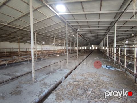 Satılır obyekt 40000 m² — Bakı