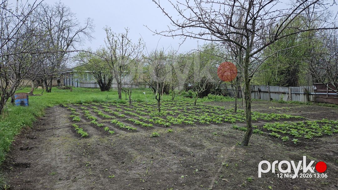 10 sot torpaq sahəsi, Qəbələ r — Torpaq, Qəbələ (2)