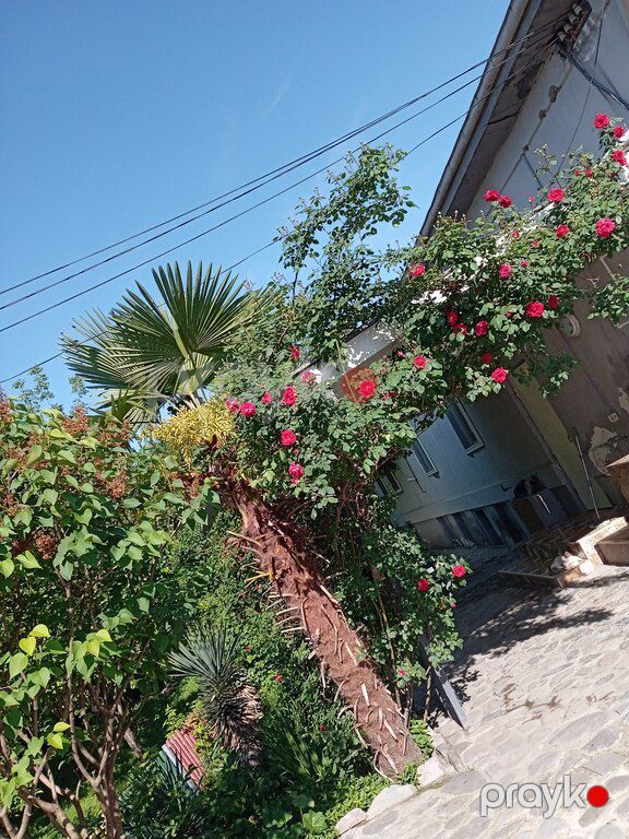 Həyət evi, İsmayıllı r — Ev, villa, İsmayıllı (2)