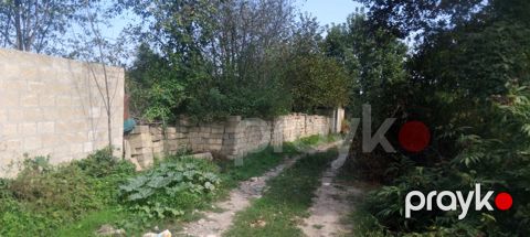 8 sot torpaq sahəsi, 2-ci Nügədi kəndi — Quba