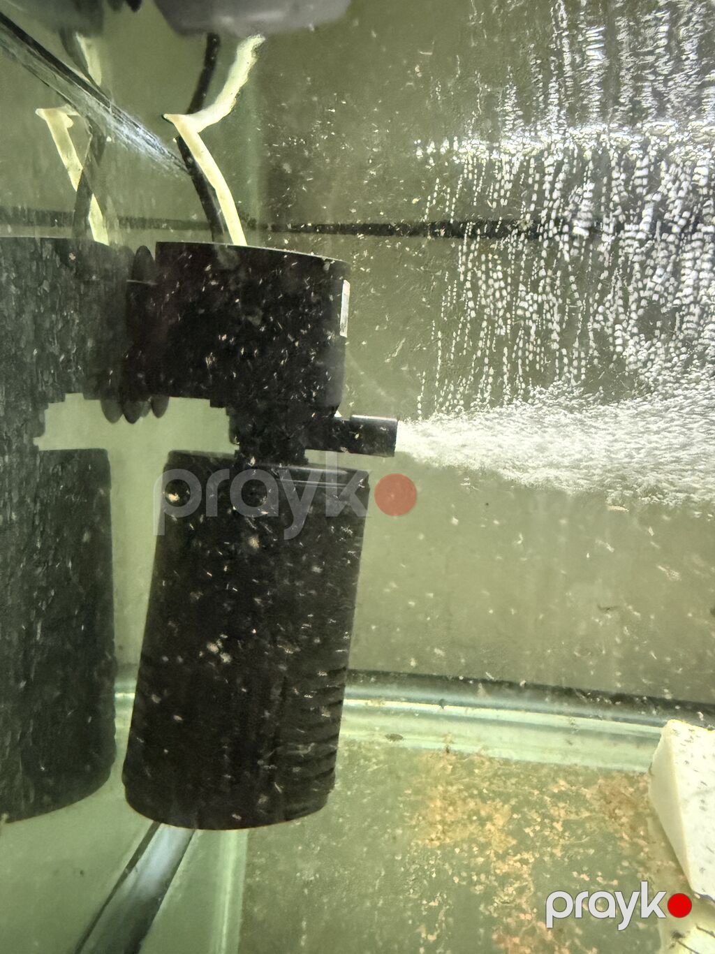 Dördbucaq akvarium, Boş, 190 l, Ünvandan götürmə — Akvariumlar və balıqlar, Bakı (3)