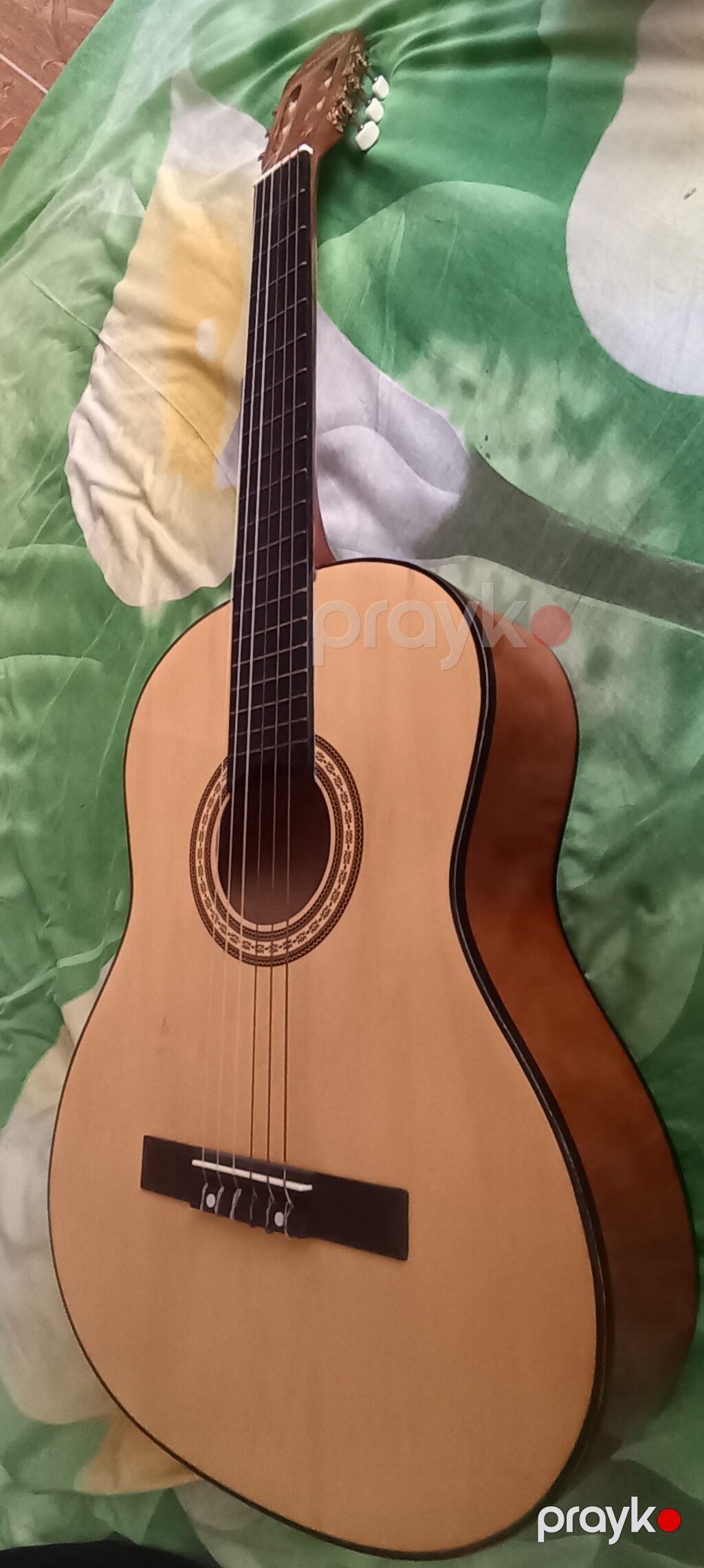 Klassik akustik gitara + yumşaq çanta - Korpus: klassik ölçülü — Gitarlar və digər simli alətlər, Xırdalan (3)