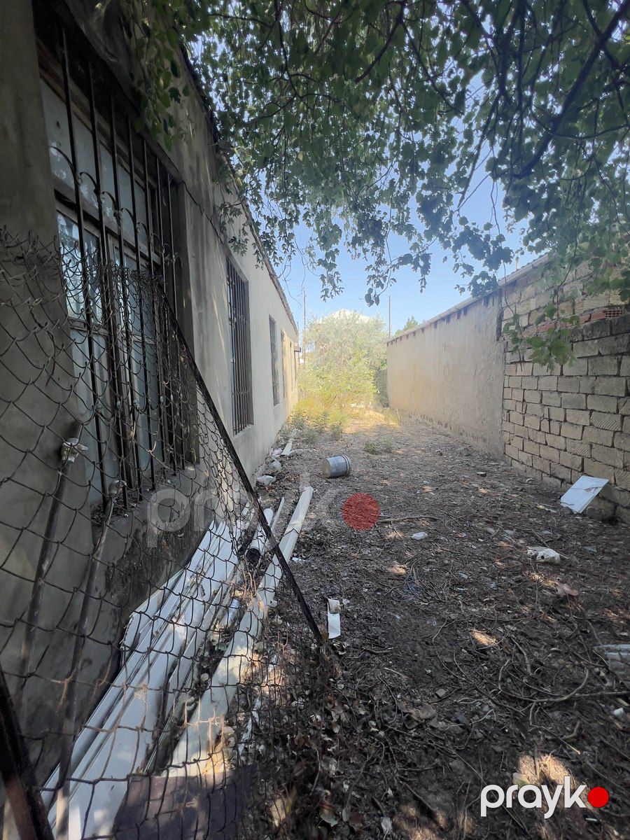 Satılır torpaq 132 sot — Torpaq, Bakı (9)