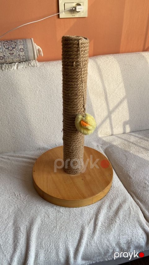 Pişik üçün qaşıma dirəyi - Material: təbii ağacdan hazırlanmış — Bakı