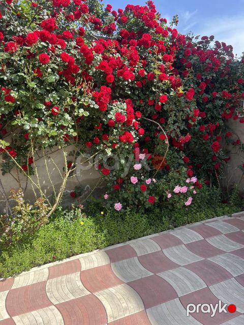 Satılır 3 otaqlı həyət evi/bağ evi 135 m² — Bakı