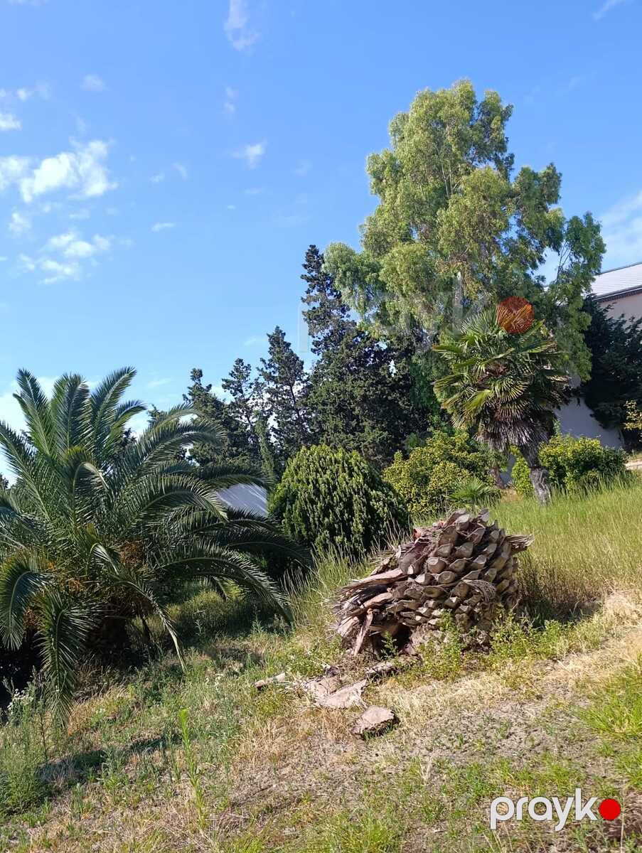 Satılır 6 otaqlı həyət evi/bağ evi 200 m² — Ev, villa, Bakı (6)