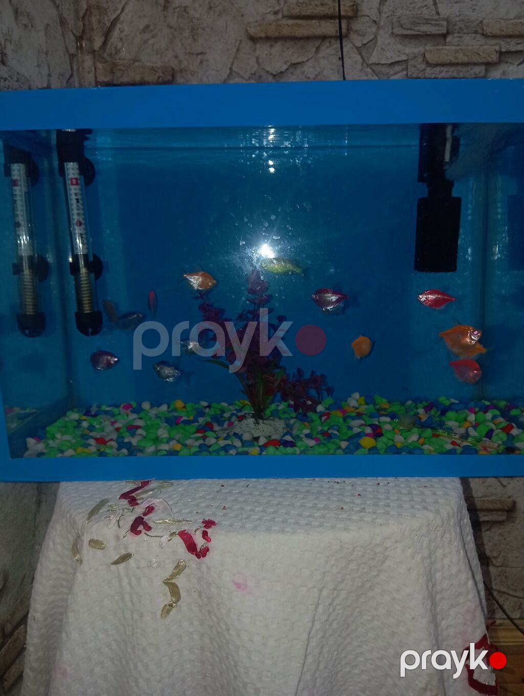 *Akvaryum Satılır - Mərdəkan* Ölçü: Eni 46 sm / Uzunluğu 30 sm — Akvariumlar və balıqlar, Bakı (4)
