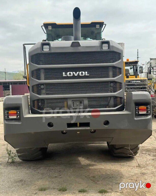 Lovol FL955K, 2025 il — İnşaat texnikası, Bakı (4)