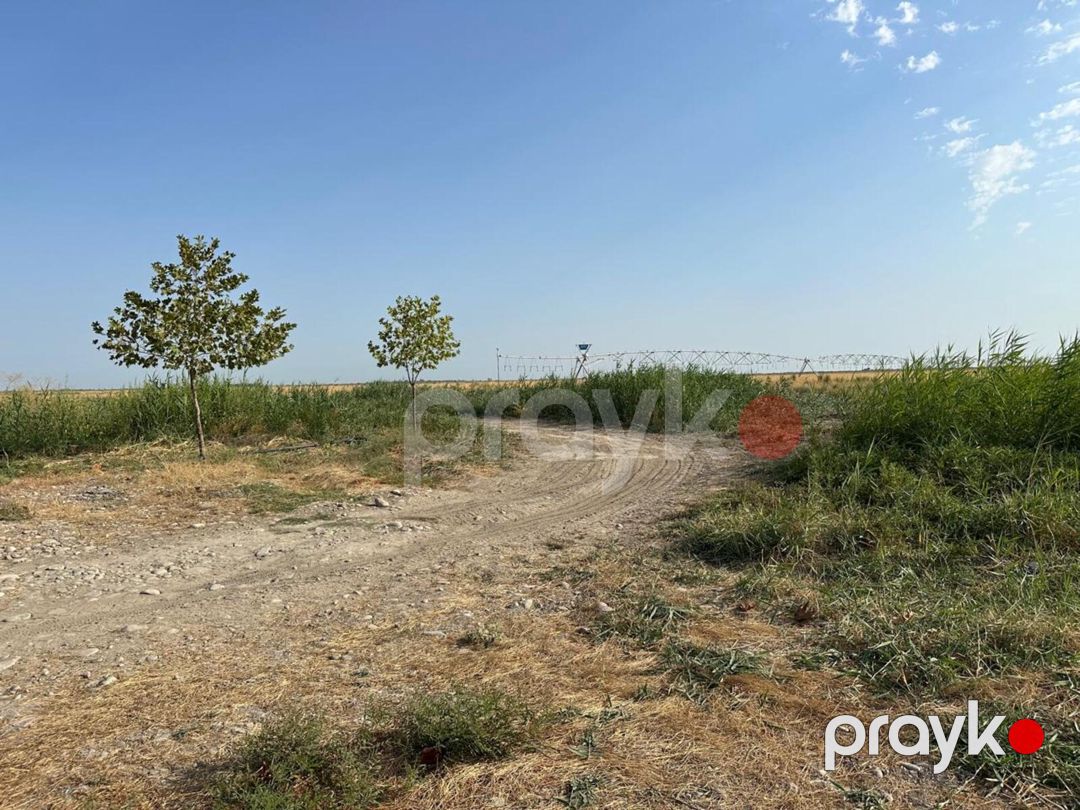 Satılır torpaq 31500 sot — Torpaq, Ağsu (12)