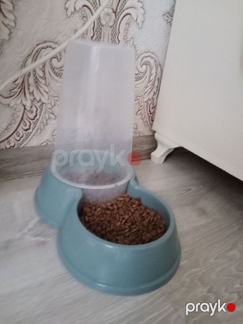 Pişik yemək qabı — Xırdalan
