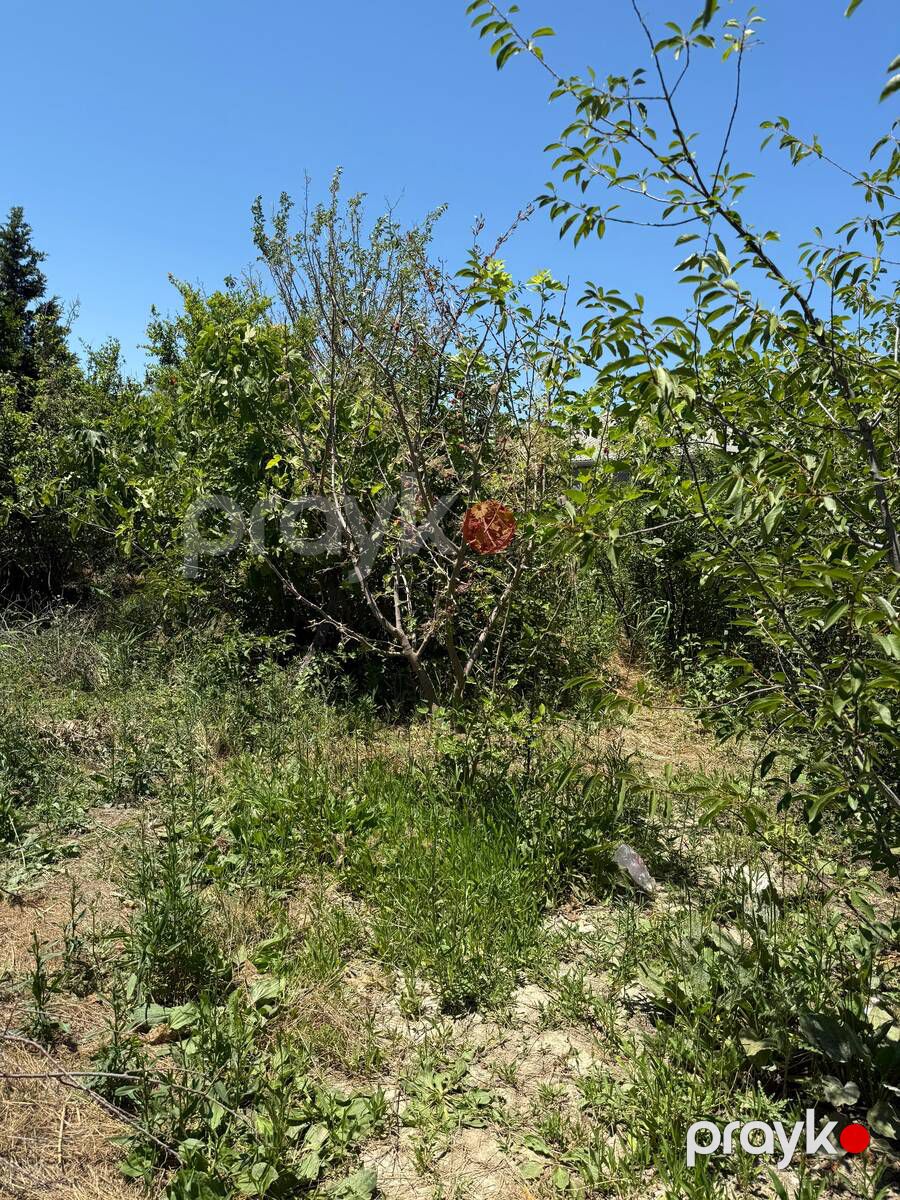 Satılır torpaq 7 sot — Torpaq, Sumqayıt (3)