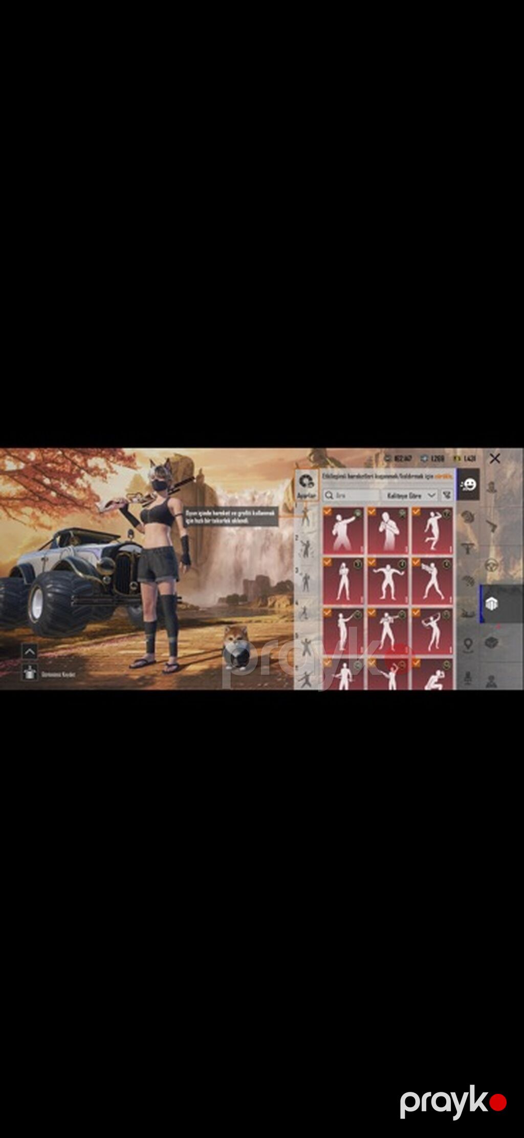 Pubg Mobile oyun hesabı – zəngin kolleksiya və nadir kosmetikalar — Şəxsi əşyalar, Laçın (5)