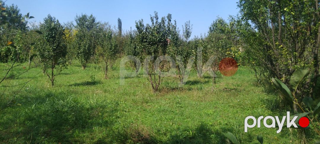 8 sot torpaq sahəsi, 2-ci Nügədi kəndi — Torpaq, Quba (4)