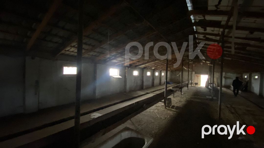 Satılır torpaq 200 sot — Torpaq, Quba (6)