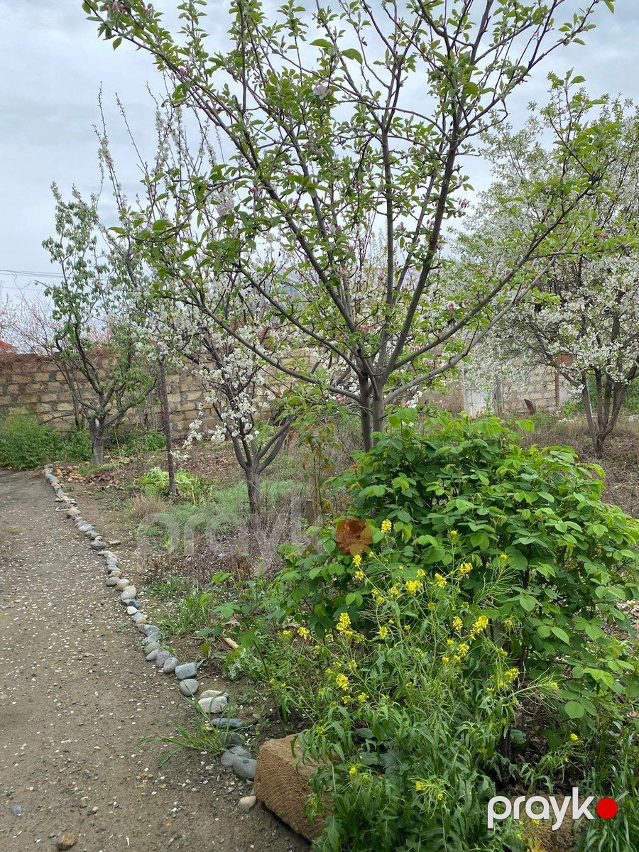 Bağ evi, Gəncə ş — Ev, villa, Gəncə (9)