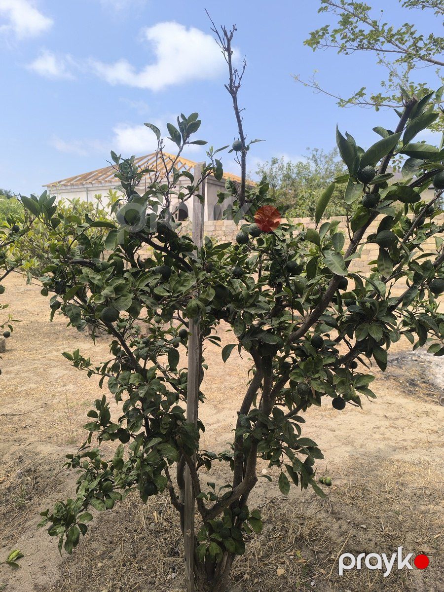 Satılır torpaq 7 sot — Torpaq, Bakı (6)
