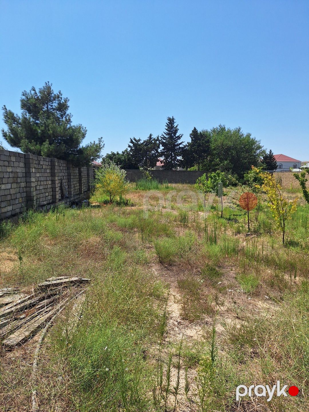 Satılır torpaq 10 sot — Torpaq, Bakı (5)