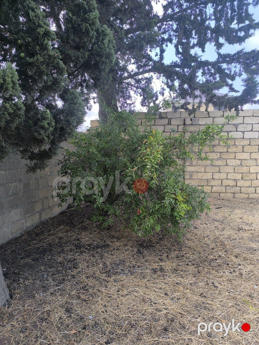 Satılır torpaq 7 sot — Torpaq, Bakı (12)