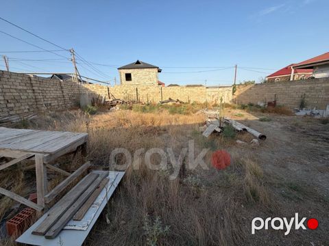 4 sot, Tikinti, Kupça (Çıxarış)
