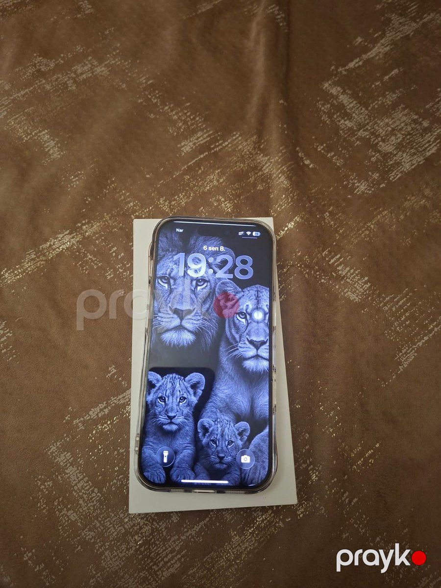 Apple iPhone 16 Pro Desert Titanium 256GB/8GB — Smartfonlar, Bakı (2)
