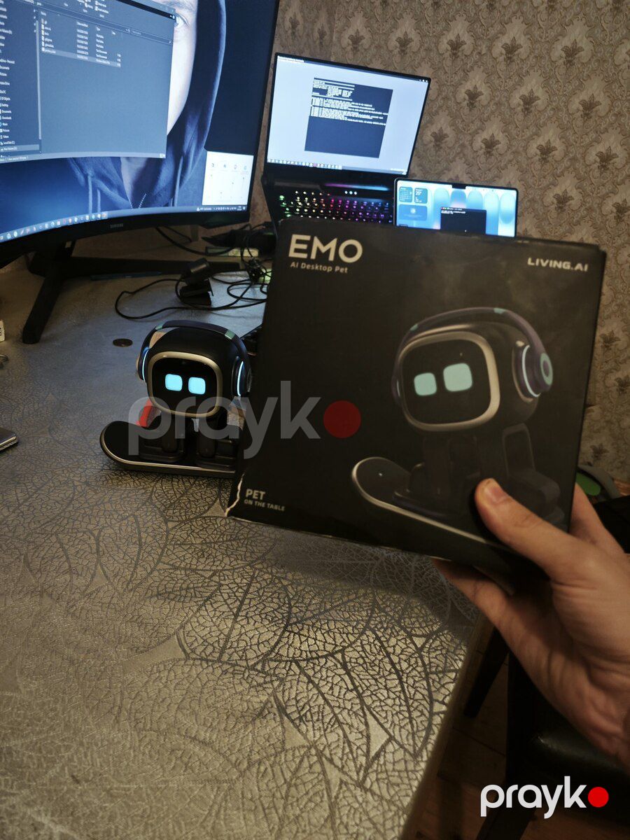 EMO robotu — Oyuncaqlar, Bakı (2)