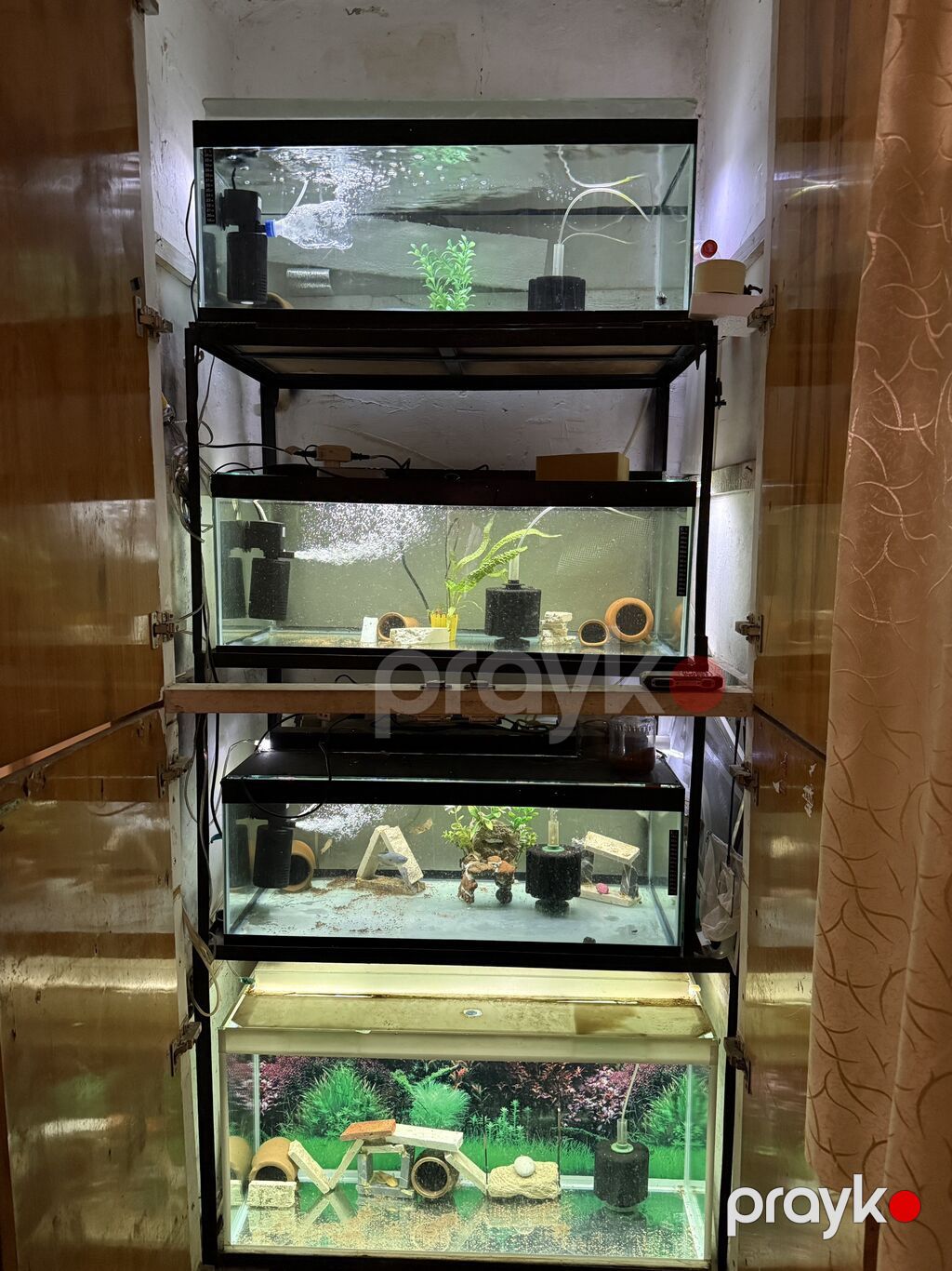 Dördbucaq akvarium, Boş, 190 l, Ünvandan götürmə — Akvariumlar və balıqlar, Bakı