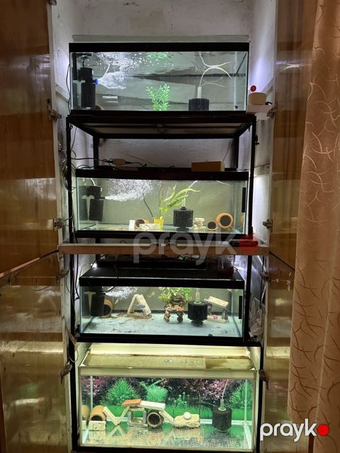 Dördbucaq akvarium, Boş, 190 l, Ünvandan götürmə — Bakı