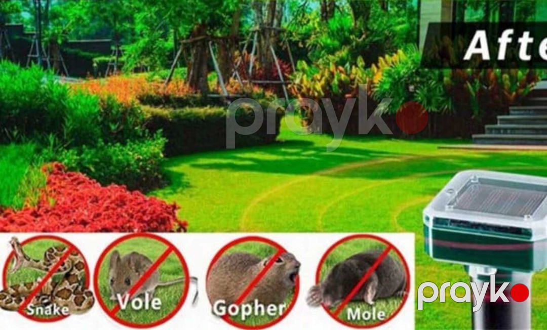 İlan qovan — Dacha və bağ, Bakı (2)