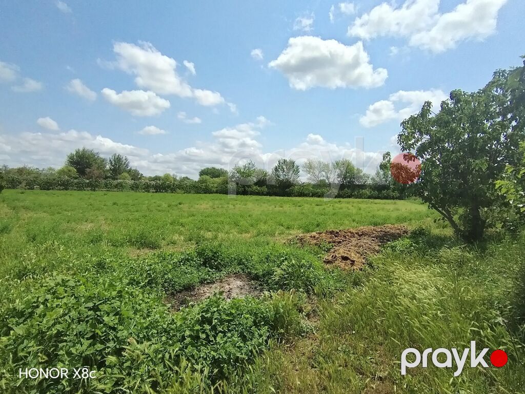 57 sot, Kənd təsərrüfatı, Kupça (Çıxarış) — Torpaq, Şirvan (2)