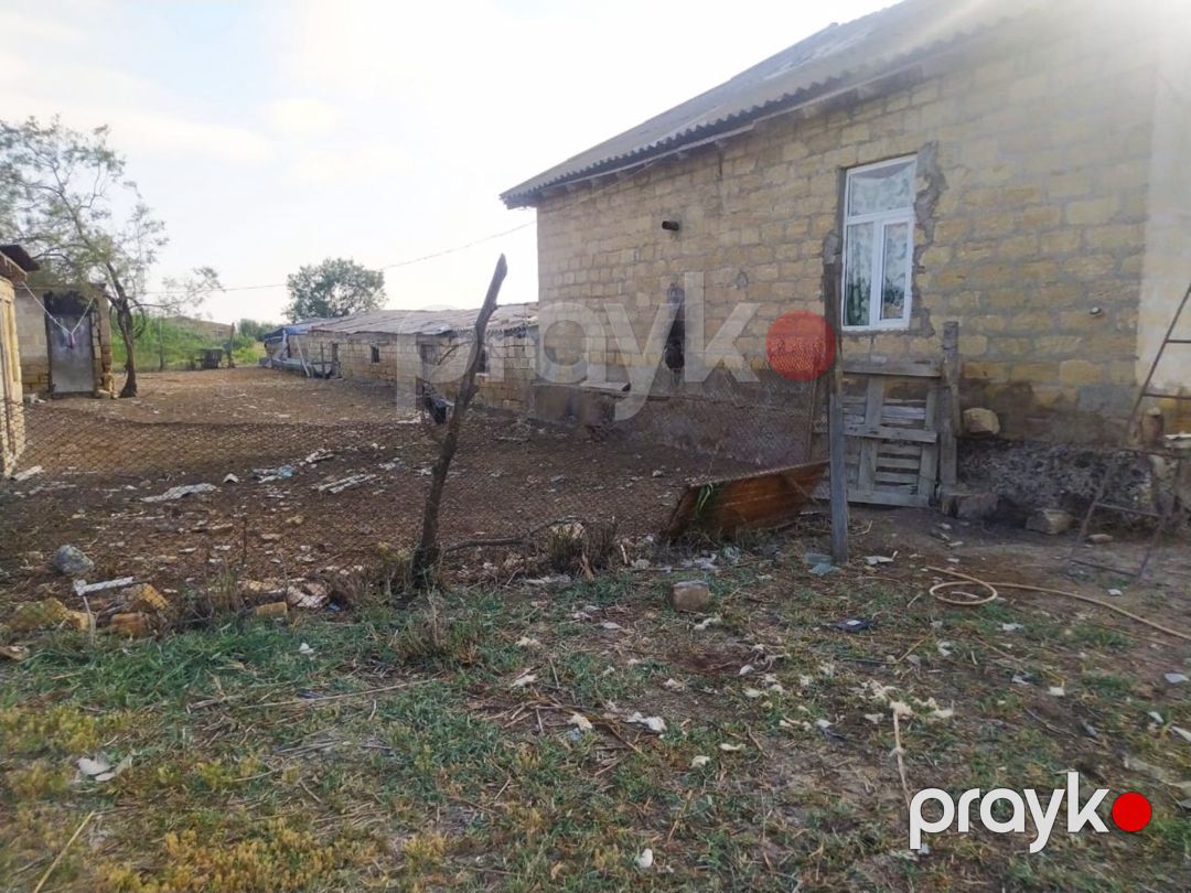 8 sot torpaq sahəsi, Salyan r — Torpaq, Salyan (4)