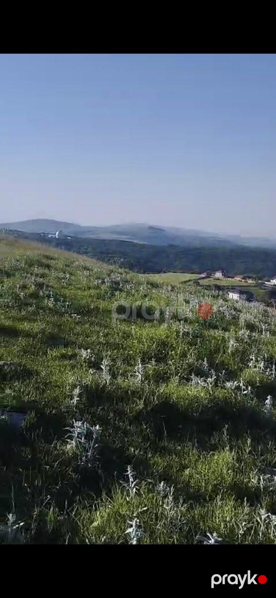 90 sot torpaq sahəsi, Şamaxı ş — Torpaq, Şamaxı (6)