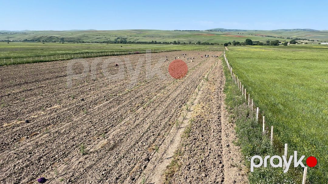 100 sot torpaq sahəsi, Şamaxı r — Torpaq, Şamaxı (4)